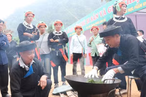 Xã Cao Bồ, tỉnh Tuyên Quang tổ chức Lễ hội "Miền chè di sản" nhằm tôn vinh giá trị nghề làm chè thủ công truyền thống.