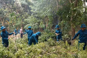 Lực lượng dân quân tại phường Điện Biên Phủ (tỉnh Điện Biên) hỗ trợ người dân tổ 20 (Him Lam) phường Điện Biên Phủ di chuyển, bàn giao mặt bằng dự án xây dựng Trung tâm Thi đấu thể dục thể thao tỉnh Điện Biên. 