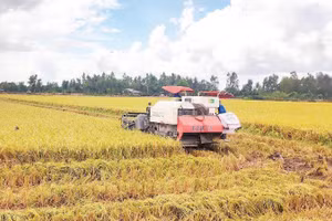 Thu hoạch lúa trên địa bàn tỉnh Đồng Tháp (Ảnh: MINH ANH)