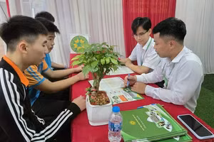 Qua tư vấn trực tiếp, nhiều bạn trẻ từng bước định hình hướng đi nghề nghiệp phù hợp.