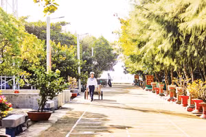 Cây xanh trên đảo Sinh Tồn. 
