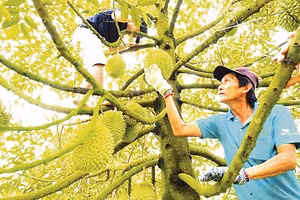 Nếu khai thác và điều tiết nước hiệu quả sẽ thúc đẩy phát triển sản xuất nông nghiệp bền vững. Ảnh: Phong Linh