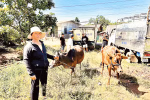 Người dân các xã Thọ Sơn và Bù Đăng vui mừng khi được nhận bò và nông cụ sản xuất. 