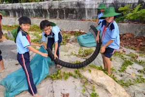 Các em học sinh cũng tích cực thu gom rác.