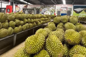Đơn giản hóa cấp mã số vùng trồng, cơ sở đóng gói, tạo thuận lợi cho xuất khẩu nông sản.