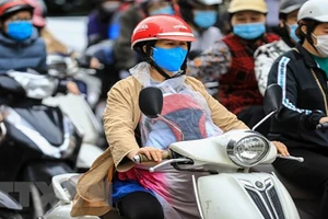 Ảnh minh họa: TTXVN