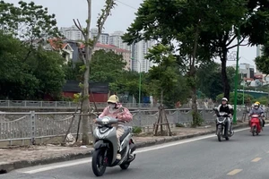 Ảnh minh họa: Đ.T