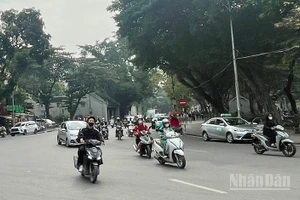 Dự báo khu vực Hà Nội ngày nắng, đêm không mưa, trời rét. (Ảnh minh họa: Đ.T)