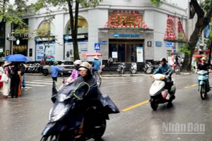 Dự báo do ảnh hưởng của không khí lạnh, khu vực Hà Nội có mưa vừa đến mưa to. (Ảnh minh họa: Đ.T)