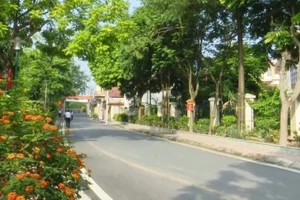 Việc thực hiện chương trình xây dựng nông thôn mới đã tạo nên cảnh quan xanh, sạch ở địa bàn xã Đan Phượng.