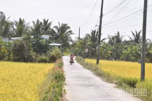 Để nông thôn thật sự là nơi để nông dân có thể "sống" được trên mảnh đất của mình.