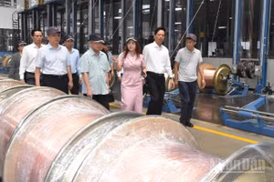 Đoàn đến thăm Công ty trách nhiệm hữu hạn Công nghiệp Đồng Jintian Việt Nam.