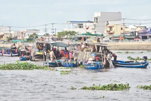 Rác, bèo trôi nổi trên sông Cần Thơ. Ảnh: Hải Nam