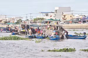 Rác, bèo trôi nổi trên sông Cần Thơ. Ảnh: Hải Nam