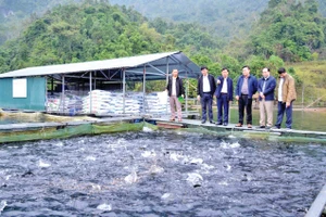 Cán bộ địa phương thăm, nắm bắt tình hình hoạt động của các hộ nuôi cá lồng trên hồ Na Hang.