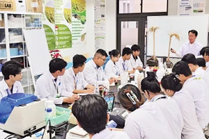 PGS, TS Nguyễn Khởi Nghĩa hướng dẫn sinh viên tham gia nghiên cứu dự án.