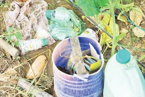 Các loại vỏ thuốc bảo vệ thực vật vứt tại vườn. Ảnh: Nam Anh