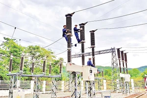 Dự án điện sinh khối giúp Cần Thơ hướng đến tăng trưởng xanh, bền vững. Ảnh: VNPD