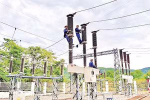Dự án điện sinh khối giúp Cần Thơ hướng đến tăng trưởng xanh, bền vững. Ảnh: VNPD