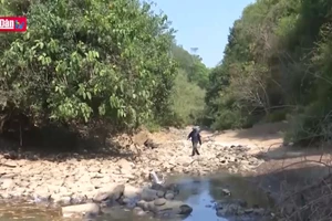 Hạn hán Tây Nguyên ngày càng diễn ra với tần suất lớn và nghiêm trọng hơn.