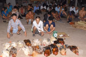 Hiện trường vụ đánh bạc tại xã Long Hưng, tỉnh Đồng Tháp.