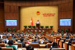 Tiếp tục áp dụng cơ chế, chính sách đặc biệt xây dựng dự án điện hạt nhân