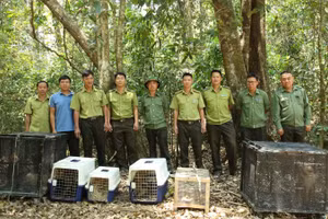 Lực lượng chức năng tổ chức đi thả 6 cá thể động vật hoang dã về với tự nhiên tại Vườn quốc gia Chư Yang Sin.