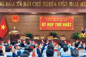 Các đại biểu tại kỳ họp biểu quyết thông qua giới thiệu nhân sự bầu các chức danh lãnh đạo Ủy ban nhân dân tỉnh.