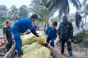 Cán bộ, chiến sĩ Bộ Chỉ huy Quân sự tỉnh Cà Mau xuống tận nơi hỗ trợ nhà nông tiêu thụ bí đỏ.