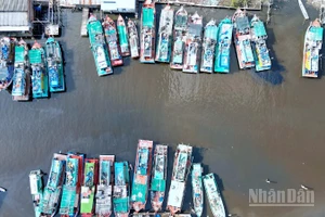 Đông đúc tàu cá neo đậu tại Kinh Hòn thuộc miền biển xã Đá Bạc, tỉnh Cà Mau. 