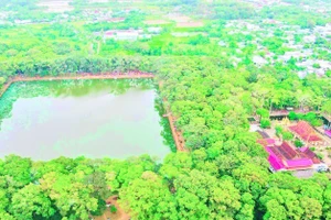 Ao Bà Om, phường Nguyệt Hóa, tỉnh Vĩnh Long rợp bóng cây cổ thụ.