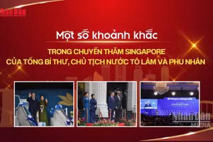 [Video] Một số khoảnh khắc trong chuyến thăm Singapore của Tổng Bí thư, Chủ tịch nước Tô Lâm và Phu nhân