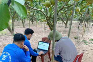 Ứng dụng công nghệ, phát triển nông thôn mới thông minh