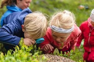 Trẻ em có cơ hội khám phá một cách độc lập trong giờ học.