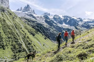 Khám phá thiên nhiên trên dãy núi Alps, Thụy Sĩ. 