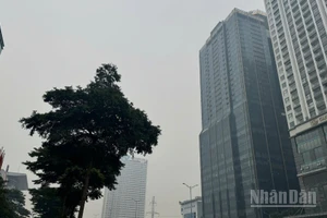 Bầu trời Hà Nội luôn trong tình trạng mờ mịt vì khói bụi. 