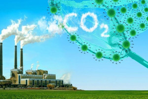 Quy định mới về thị trường carbon từ ngày 1/8/2025