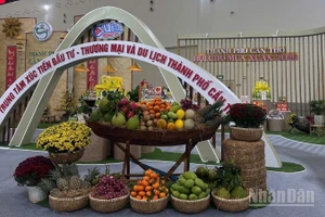 Góc tiểu cảnh từ Trung tâm xúc tiến đầu tư-thương mại và du lịch thành phố Cần Thơ trong phân khu chung của Bộ Nông nghiệp và Môi trường. (Ảnh: HNV)