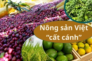 Xúc tiến thương mại-cầu nối đưa nông sản Việt “cất cánh”