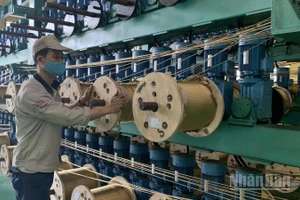 Số lao động trong tháng 1/2026 trong doanh nghiệp gia tăng. (Ảnh: HNV)