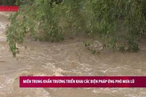[Video] Miền Trung khẩn trương triển khai các biện pháp ứng phó mưa lũ