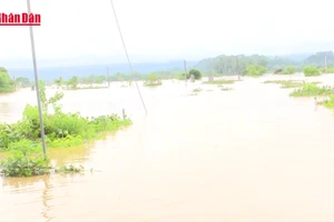 [Video] Hoàn thành công bố thiết kế mẫu nhà chống bão, lụt trước ngày 10/12