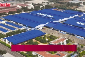 [Video] Hơn 2.600 công nhân Panko Vina lo mất việc khi Tết cận kề