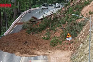 [Video] Mưa lớn gây sạt lở đèo, hàng nghìn nhà dân ngập sâu tại Lâm Đồng và Khánh Hòa