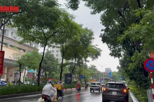 [Video] Mưa rét nhiều nơi trên cả nước vào đúng dịp Tết Dương lịch 2026