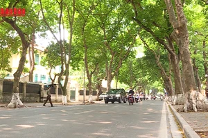 [Video] Mở rộng diện khấu trừ lương để cưỡng chế thi hành xử phạt hành chính từ năm 2026