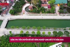 [Video] Giảm 70% tiền chuyển đổi đất nông nghiệp sang đất ở từ năm 2026