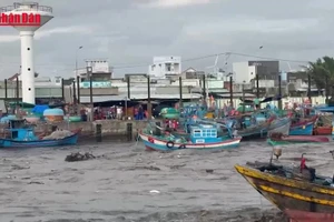 [Video] Lũ lớn trên sông Liên Hương, hàng chục phương tiện của ngư dân bị chìm và trôi ra biển