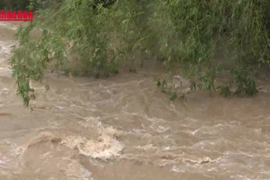 [Video] Trung Bộ đề phòng mưa lớn, lũ quét và sạt lở