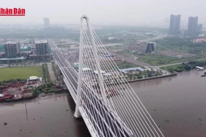 [Video] TP Hồ Chí Minh dự kiến tăng mạnh giá đất nông nghiệp